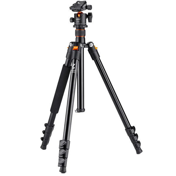 KF09.080v1